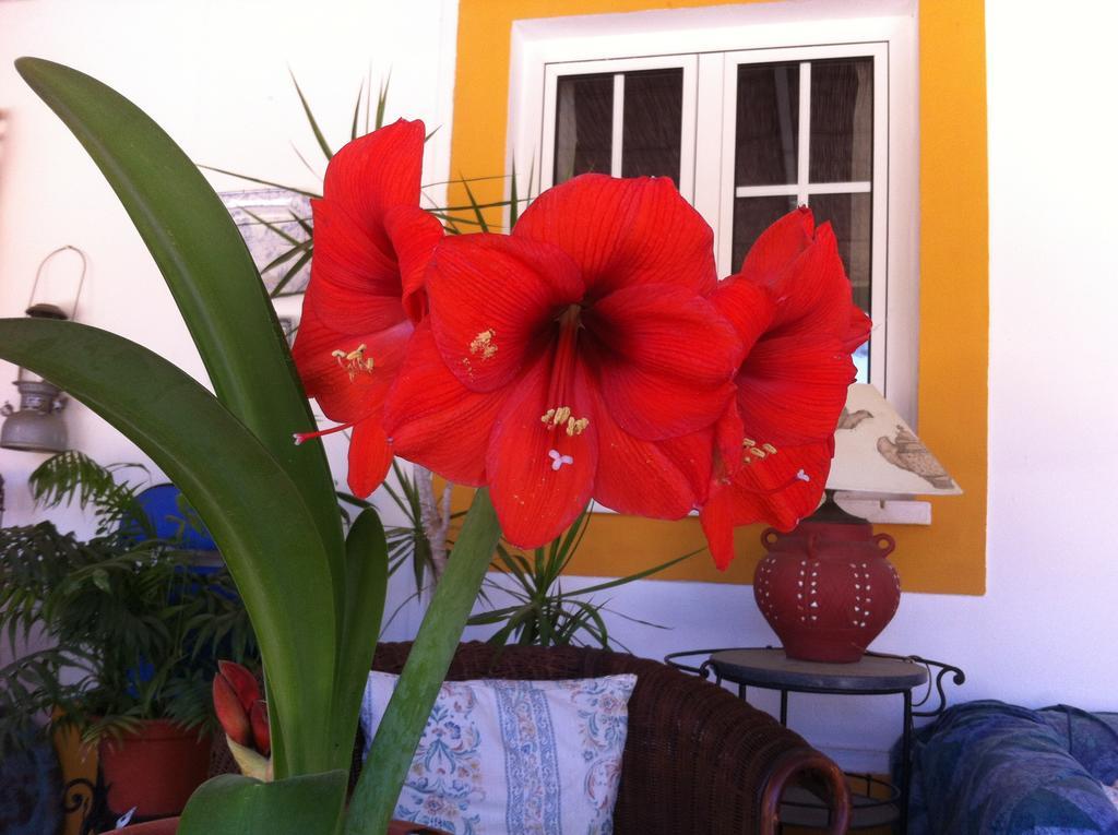 Hotel Monte Da Boa Vista - Descanso Perfeito Portel Zewnętrze zdjęcie