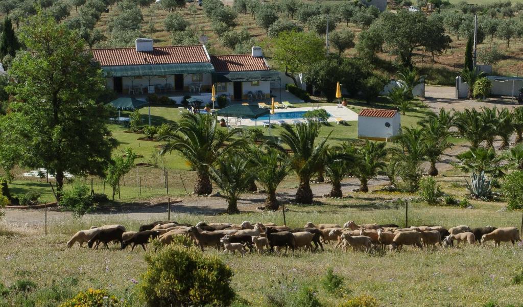 Hotel Monte Da Boa Vista - Descanso Perfeito Portel Zewnętrze zdjęcie